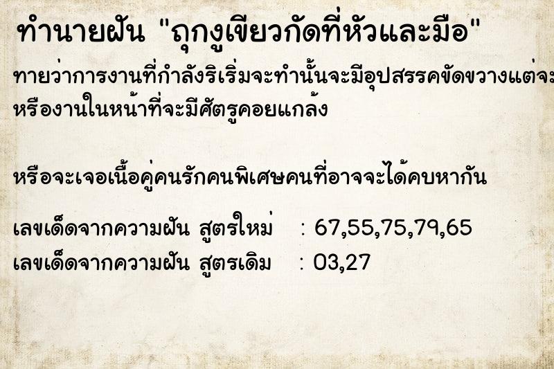 ทำนายฝันถุกงูเขียวกัดที่หัวและมือ ทำนายฝันทำนายฝันถุกงูเขียวกัดที่หัวและมือ