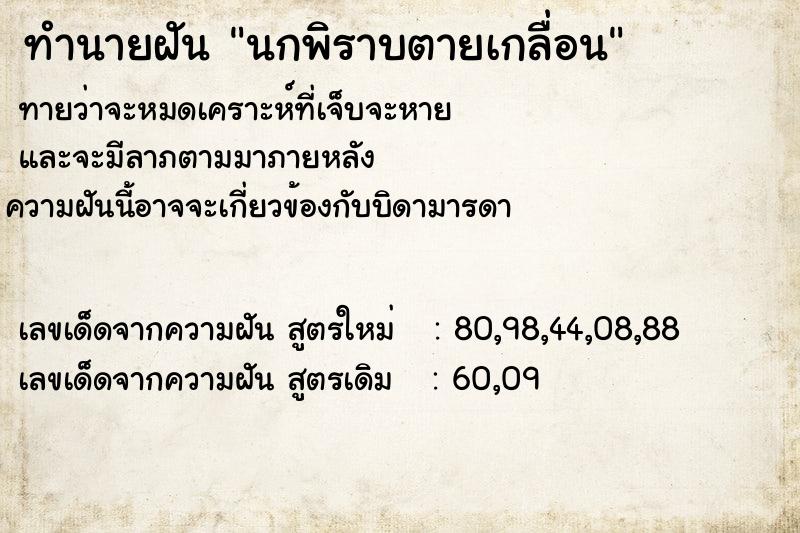 ทำนายฝัน นกพิราบตายเกลื่อน