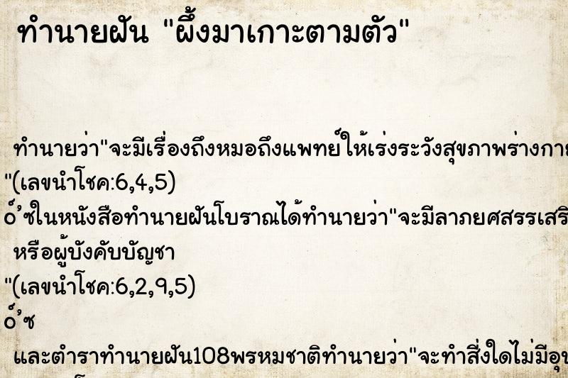 ทำนายฝัน ผึ้งมาเกาะตามตัว ทำนายฝัน ผึ้งมาเกาะตามตัว