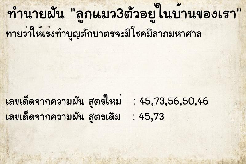 ทำนายฝันทำนายฝันลูกแมว3ตัวอยู่ในบ้านของเรา
