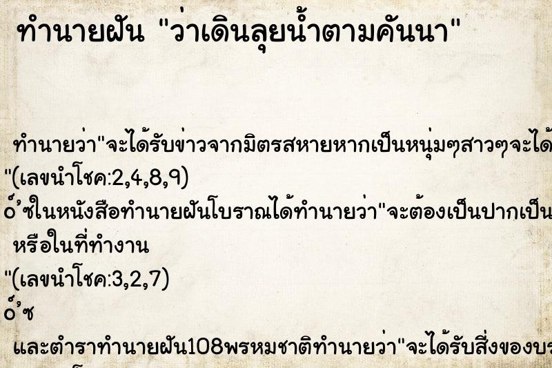 ทำนายฝัน ว่าเดินลุยน้ำตามคันนา ทำนายฝัน ว่าเดินลุยน้ำตามคันนา