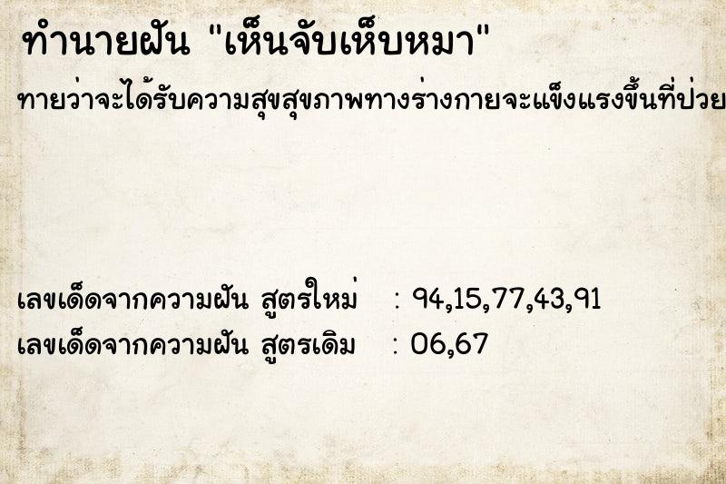 ทำนายฝันเห็นจับเห็บหมา ทำนายฝันทำนายฝันเห็นจับเห็บหมา