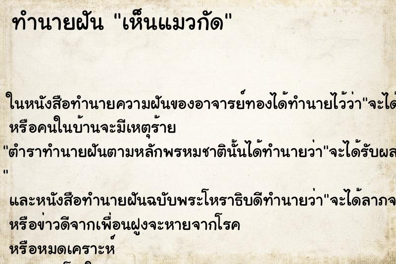 ทำนายฝัน เห็นแมวกัด ทำนายฝัน เห็นแมวกัด
