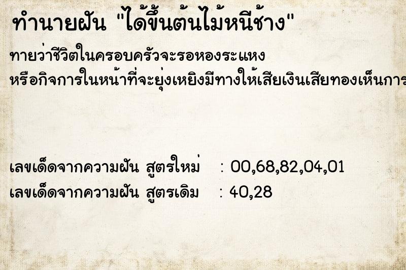 ทำนายฝันทำนายฝันได้ขึ้นต้นไม้หนีช้าง