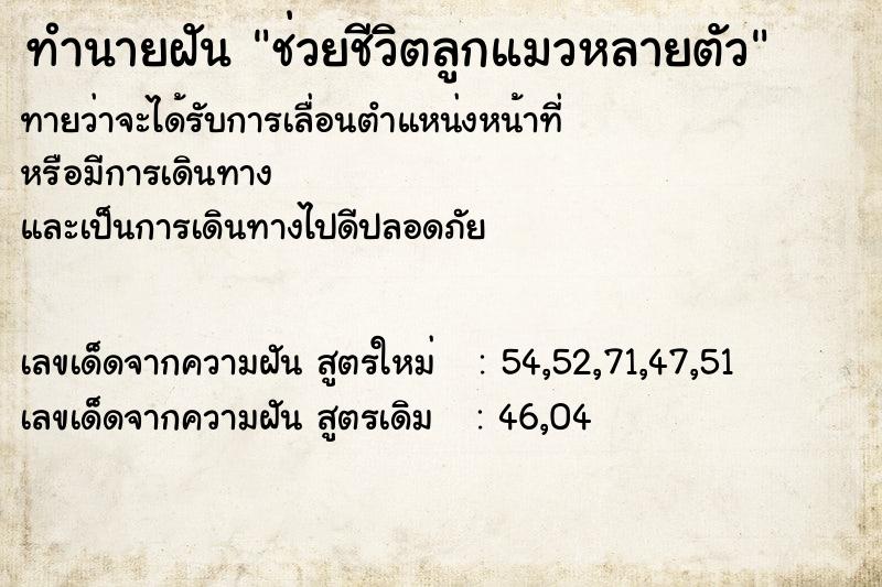 ทำนายฝันช่วยชีวิตลูกแมวหลายตัว ทำนายฝันทำนายฝันช่วยชีวิตลูกแมวหลายตัว