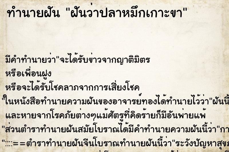 ทำนายฝัน ฝันว่าปลาหมึกเกาะขา ตำราโบราณ แม่นที่สุดในโลก