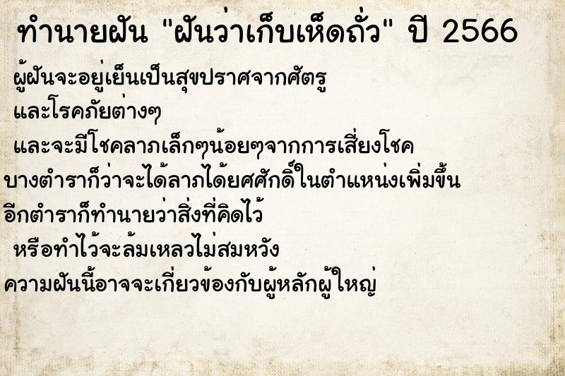 ทำนายฝันฝันว่าเก็บเห็ดถั่ว ทำนายฝันทำนายฝันฝันว่าเก็บเห็ดถั่ว