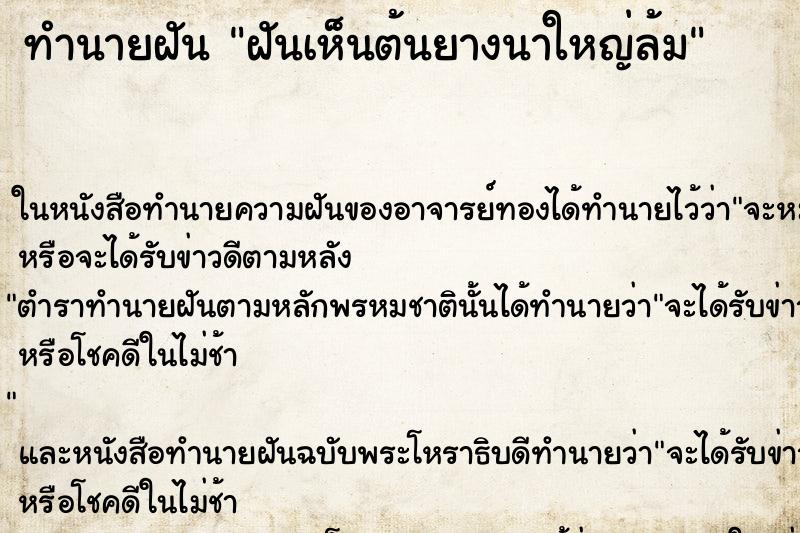 ทำนายฝันฝันเห็นต้นยางนาใหญ่ล้ม ทำนายฝันทำนายฝันฝันเห็นต้นยางนาใหญ่ล้ม