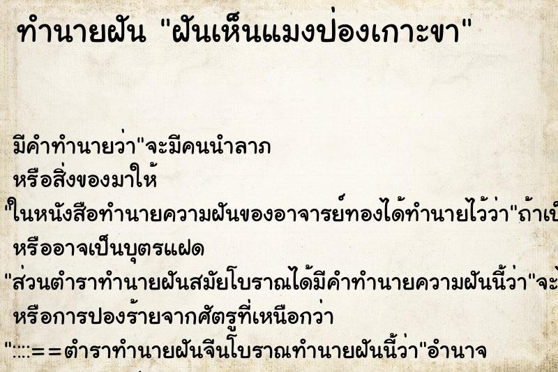 ทำนายฝัน ฝันเห็นแมงป่องเกาะขา ตำราโบราณ แม่นที่สุดในโลก