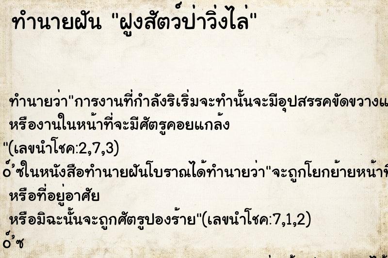 ทำนายฝันฝูงสัตว์ป่าวิ่งไล่ ทำนายฝันทำนายฝันฝูงสัตว์ป่าวิ่งไล่