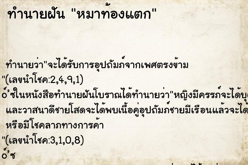 ทำนายฝันทำนายฝันหมาท้องแตก