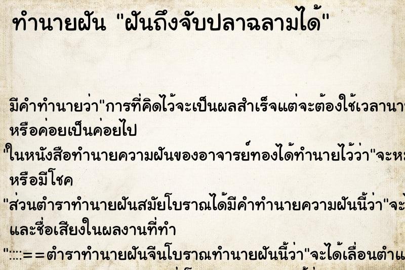ทำนายฝัน ฝันถึงจับปลาฉลามได้ ทำนายฝัน ฝันถึงจับปลาฉลามได้