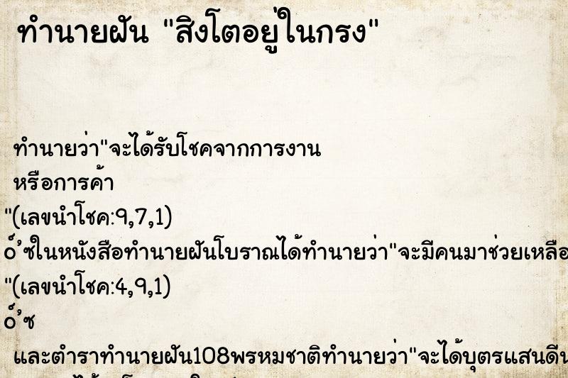 ทำนายฝัน สิงโตอยู่ในกรง ทำนายฝัน สิงโตอยู่ในกรง