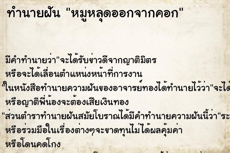 ทำนายฝัน หมูหลุดออกจากคอก ทำนายฝัน หมูหลุดออกจากคอก