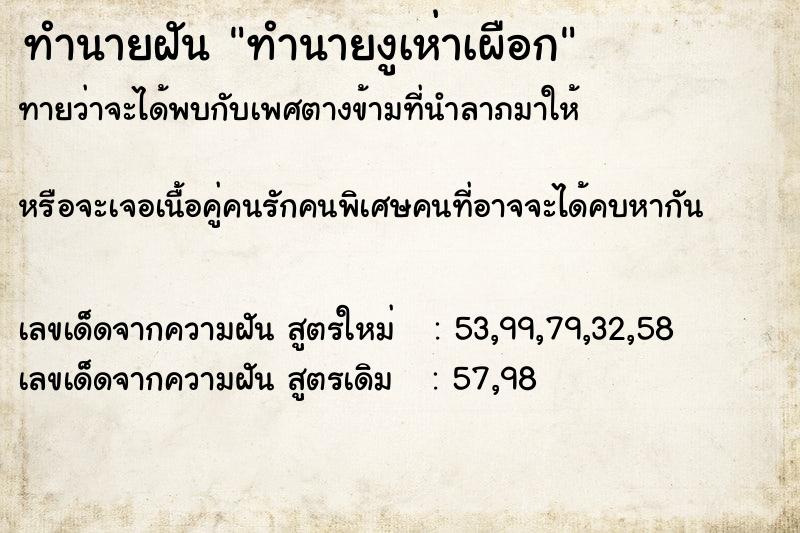 ทำนายฝันทำนายงูเห่าเผือก ทำนายฝันทำนายฝันทำนายงูเห่าเผือก