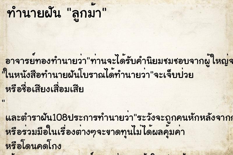 ทำนายฝัน ลูกม้า ทำนายฝัน ลูกม้า