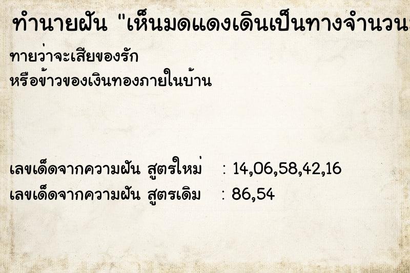 ทำนายฝันทำนายฝันเห็นมดแดงเดินเป็นทางจำนวนมาก