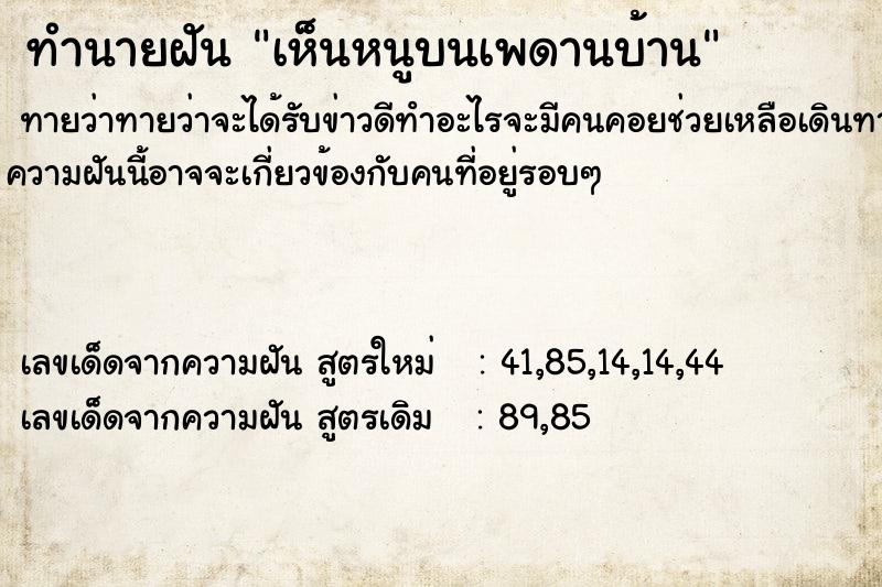 ทำนายฝันเห็นหนูบนเพดานบ้าน ทำนายฝันทำนายฝันเห็นหนูบนเพดานบ้าน