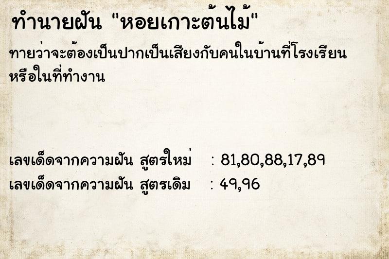 ทำนายฝันทำนายฝันหอยเกาะต้นไม้