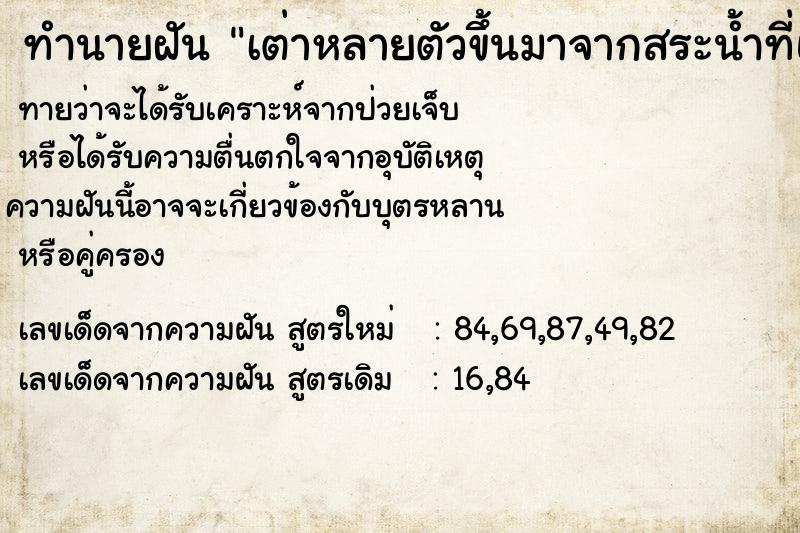 ทำนายฝันเต่าหลายตัวขึ้นมาจากสระน้ำที่แห้ง ทำนายฝันทำนายฝันเต่าหลายตัวขึ้นมาจากสระน้ำที่แห้ง