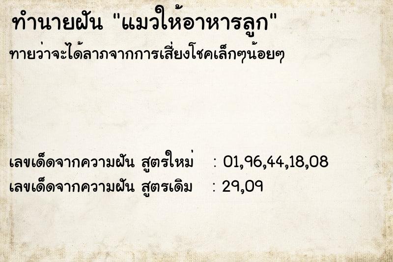 ทำนายฝันทำนายฝันแมวให้อาหารลูก