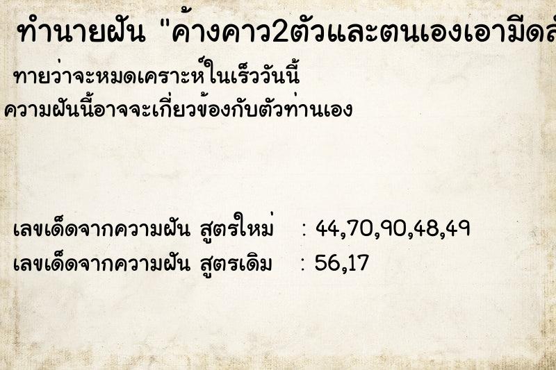 ทำนายฝันค้างคาว2ตัวและตนเองเอามีดสับไป1ตัว ทำนายฝันทำนายฝันค้างคาว2ตัวและตนเองเอามีดสับไป1ตัว