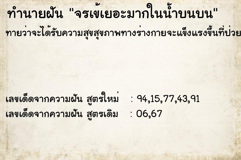 ทำนายฝันจรเข้เยอะมากในน้ำบนบน ทำนายฝันทำนายฝันจรเข้เยอะมากในน้ำบนบน