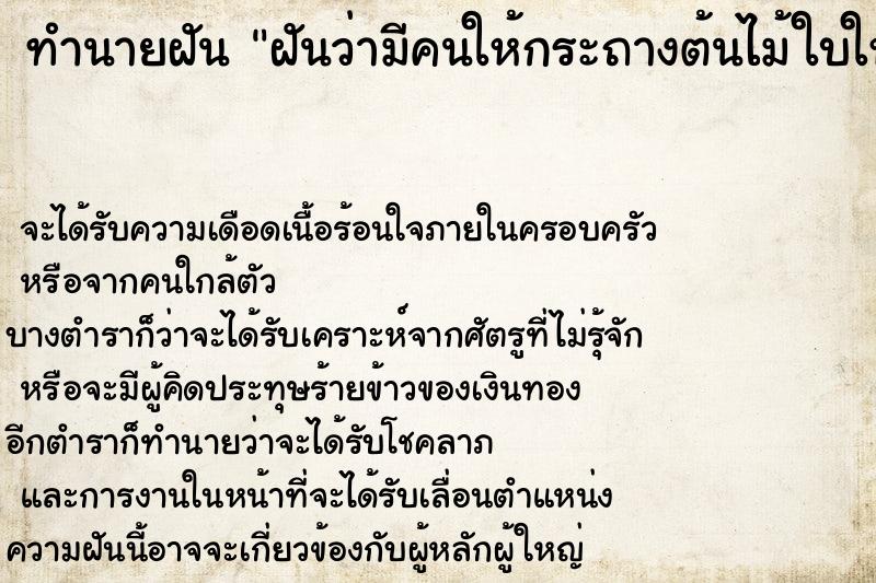ทำนายฝันทำนายฝันฝันว่ามีคนให้กระถางต้นไม้ใบใหญ่