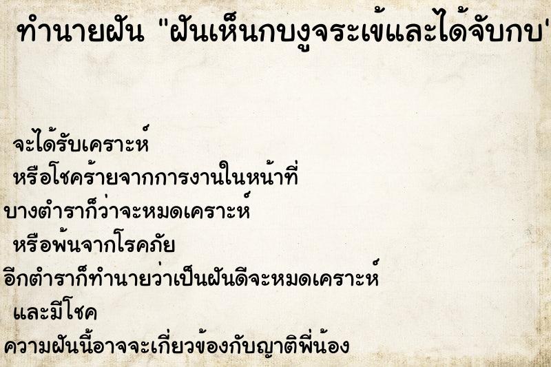 ทำนายฝันฝันเห็นกบงูจระเข้และได้จับกบ ทำนายฝันทำนายฝันฝันเห็นกบงูจระเข้และได้จับกบ