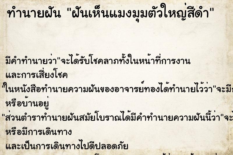 ทำนายฝัน ฝันเห็นแมงมุมตัวใหญ่สีดำ ทำนายฝัน ฝันเห็นแมงมุมตัวใหญ่สีดำ