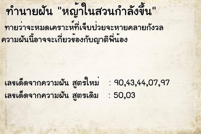 ทำนายฝันหญ้าในสวนกำลังขึ้น ทำนายฝันทำนายฝันหญ้าในสวนกำลังขึ้น