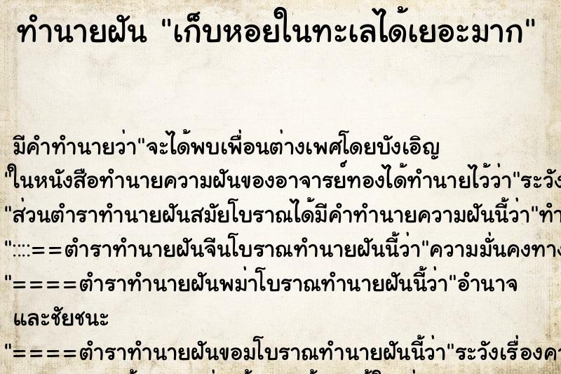 ทำนายฝัน เก็บหอยในทะเลได้เยอะมาก ตำราโบราณ แม่นที่สุดในโลก