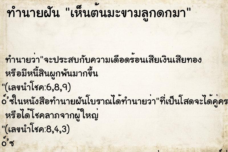 ทำนายฝันเห็นต้นมะขามลูกดกมา ทำนายฝันทำนายฝันเห็นต้นมะขามลูกดกมา