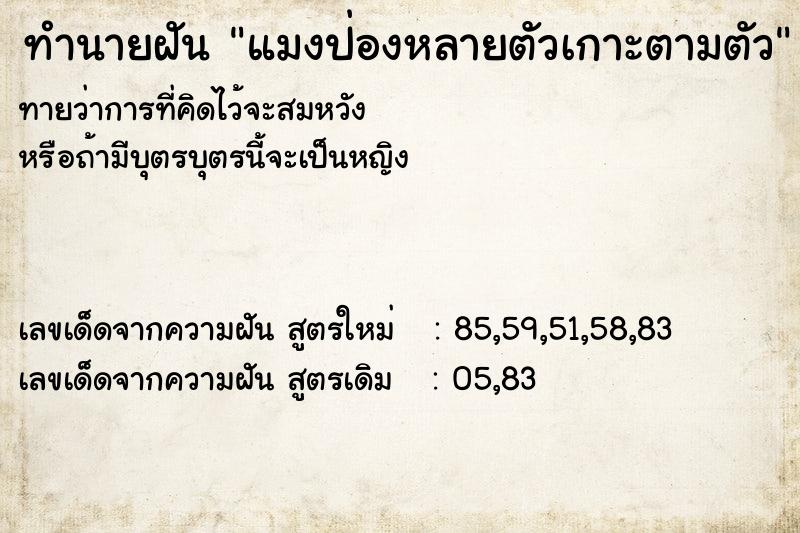 ทำนายฝันแมงป่องหลายตัวเกาะตามตัว ทำนายฝันทำนายฝันแมงป่องหลายตัวเกาะตามตัว