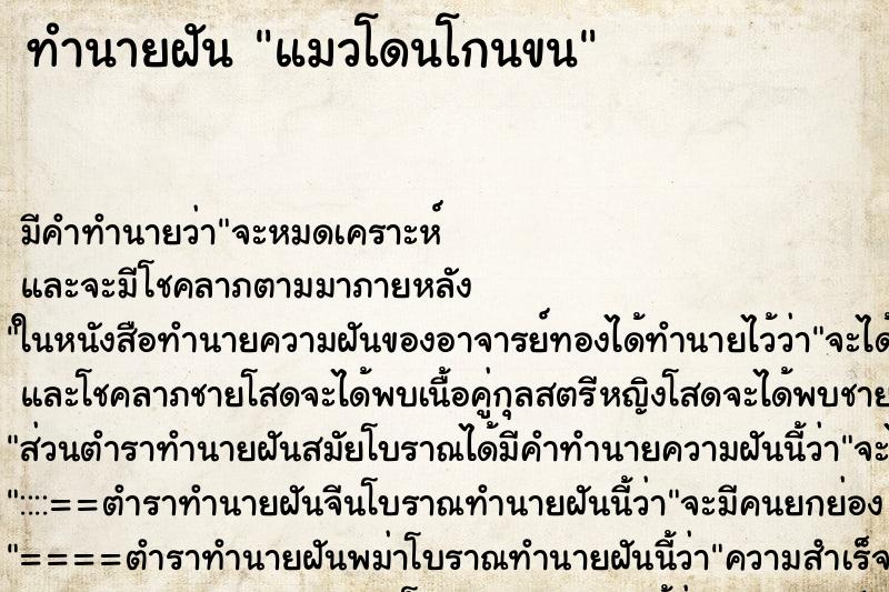 ทำนายฝันแมวโดนโกนขน ทำนายฝันทำนายฝันแมวโดนโกนขน