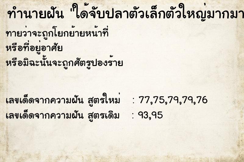 ทำนายฝันใด้จับปลาตัวเล็กตัวใหญ่มากมายตัว ทำนายฝันทำนายฝันใด้จับปลาตัวเล็กตัวใหญ่มากมายตัว