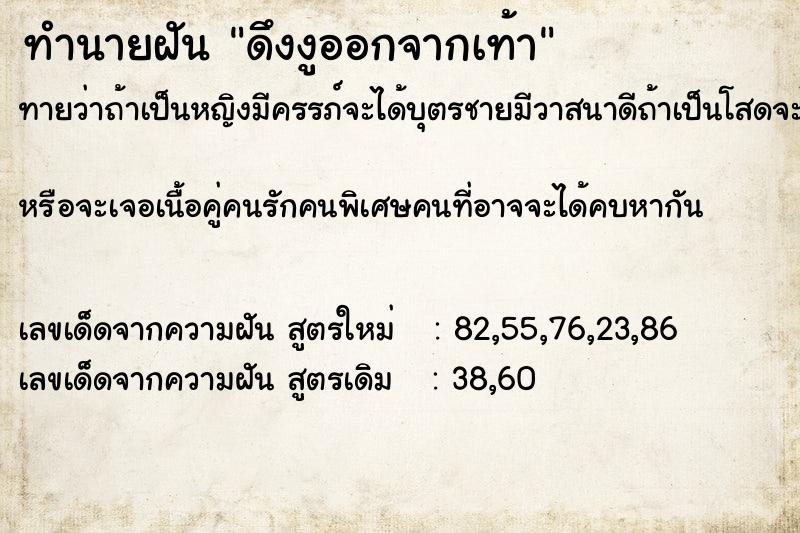 ทำนายฝันดึงงูออกจากเท้า ทำนายฝันทำนายฝันดึงงูออกจากเท้า