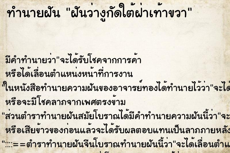 ทำนายฝัน ฝันว่างูกัดใต้ฝ่าเท้าขวา ทำนายฝัน ฝันว่างูกัดใต้ฝ่าเท้าขวา