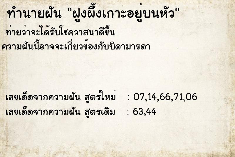 ทำนายฝันฝูงผึ้งเกาะอยู่บนหัว ทำนายฝันทำนายฝันฝูงผึ้งเกาะอยู่บนหัว