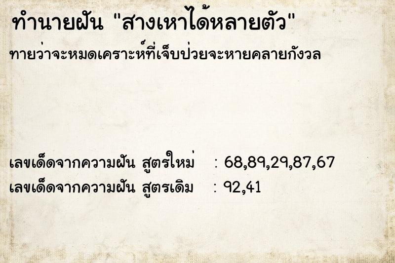 ทำนายฝันทำนายฝันสางเหาได้หลายตัว