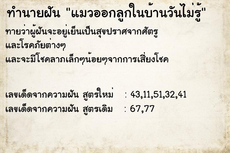 ทำนายฝันทำนายฝันแมวออกลูกในบ้านวันไม่รู้