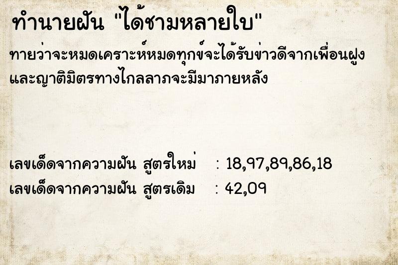 ทำนายฝัน ได้ชามหลายใบ ทำนายฝัน ได้ชามหลายใบ