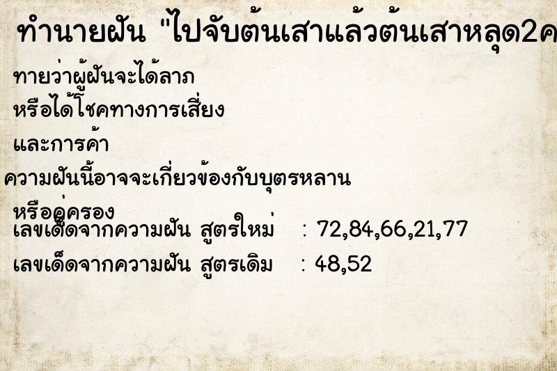 ทำนายฝันทำนายฝันไปจับต้นเสาแล้วต้นเสาหลุด2ครั้ง