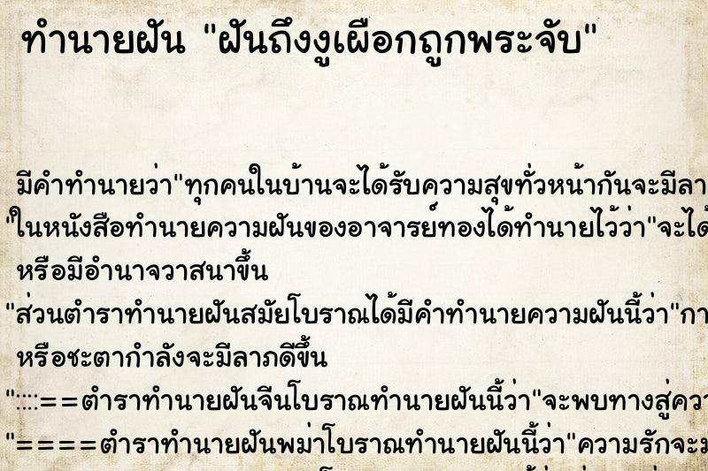 ทำนายฝัน ฝันถึงงูเผือกถูกพระจับ