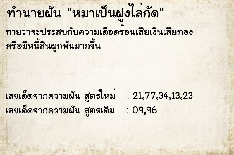ทำนายฝันทำนายฝันหมาเป็นฝูงไล่กัด