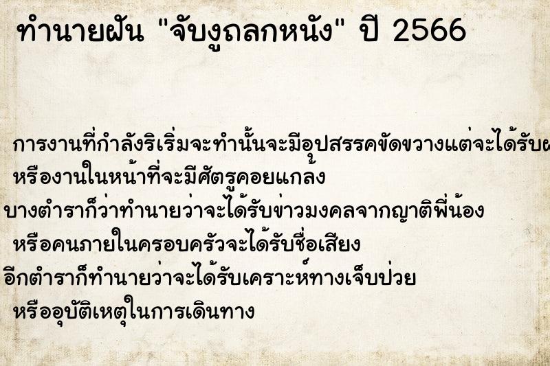 ทำนายฝันจับงูถลกหนัง ทำนายฝันทำนายฝันจับงูถลกหนัง