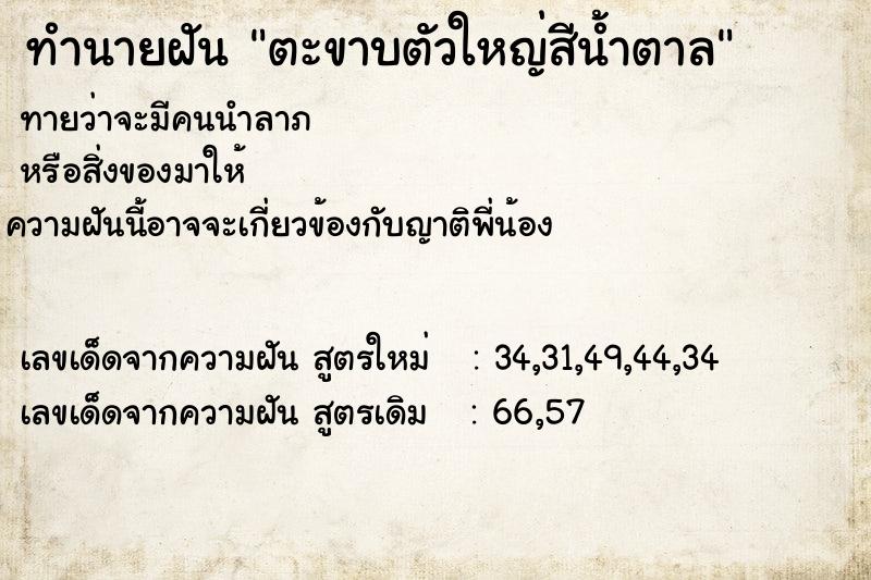 ทำนายฝันตะขาบตัวใหญ่สีน้ำตาล ทำนายฝันทำนายฝันตะขาบตัวใหญ่สีน้ำตาล