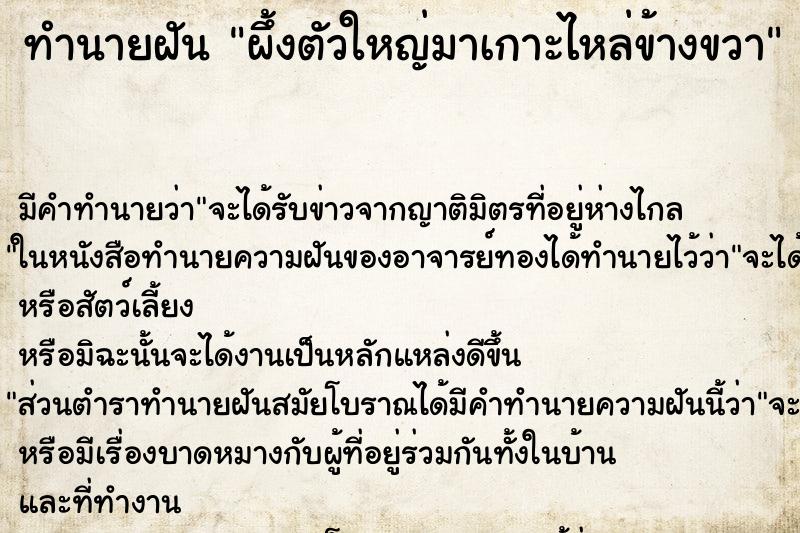 ทำนายฝันทำนายฝันผึ้งตัวใหญ่มาเกาะไหล่ข้างขวา