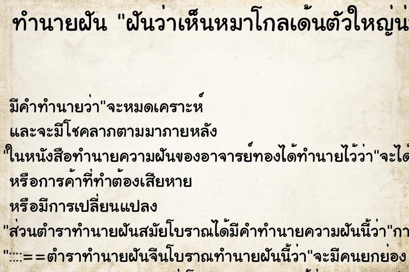 ทำนายฝัน ฝันว่าเห็นหมาโกลเด้นตัวใหญ่น่ารัก ทำนายฝัน ฝันว่าเห็นหมาโกลเด้นตัวใหญ่น่ารัก