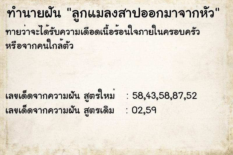 ทำนายฝันลูกแมลงสาปออกมาจากหัว ทำนายฝันทำนายฝันลูกแมลงสาปออกมาจากหัว